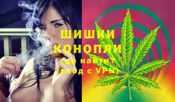 прущие грибы Пестово