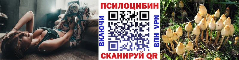 Псилоцибиновые грибы Psilocybe  купить наркотики сайты  Саров 